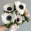 blooms_pearls